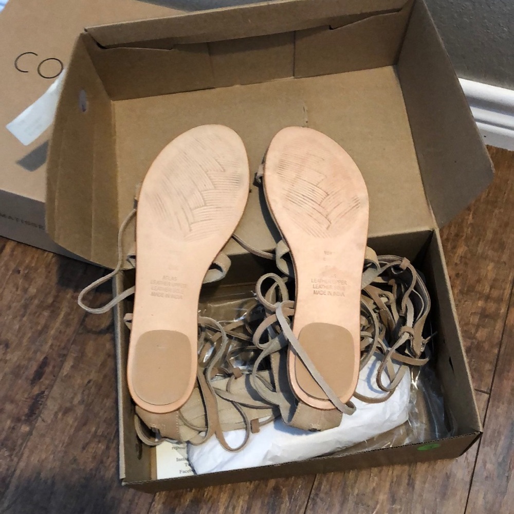 Coconuts By Matisse Atlas Gladiator Sandals - image 2